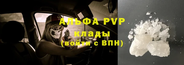 эйфоретик Аркадак
