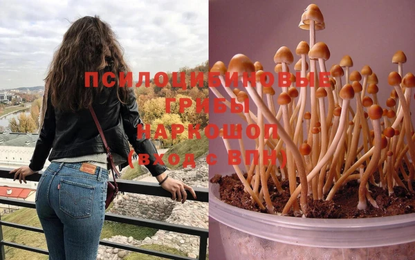 а пвп мука Армянск