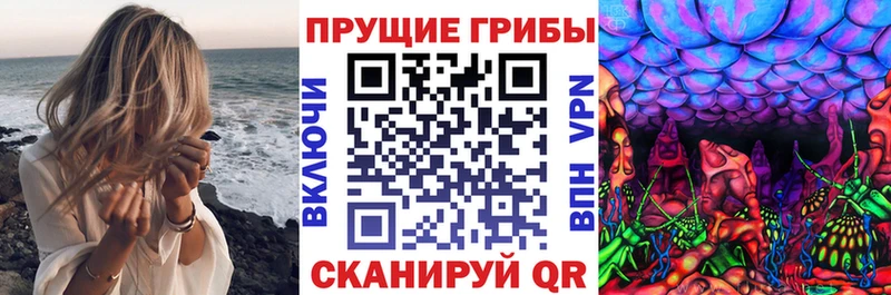 Галлюциногенные грибы мицелий  Купить  Нижнеудинск 